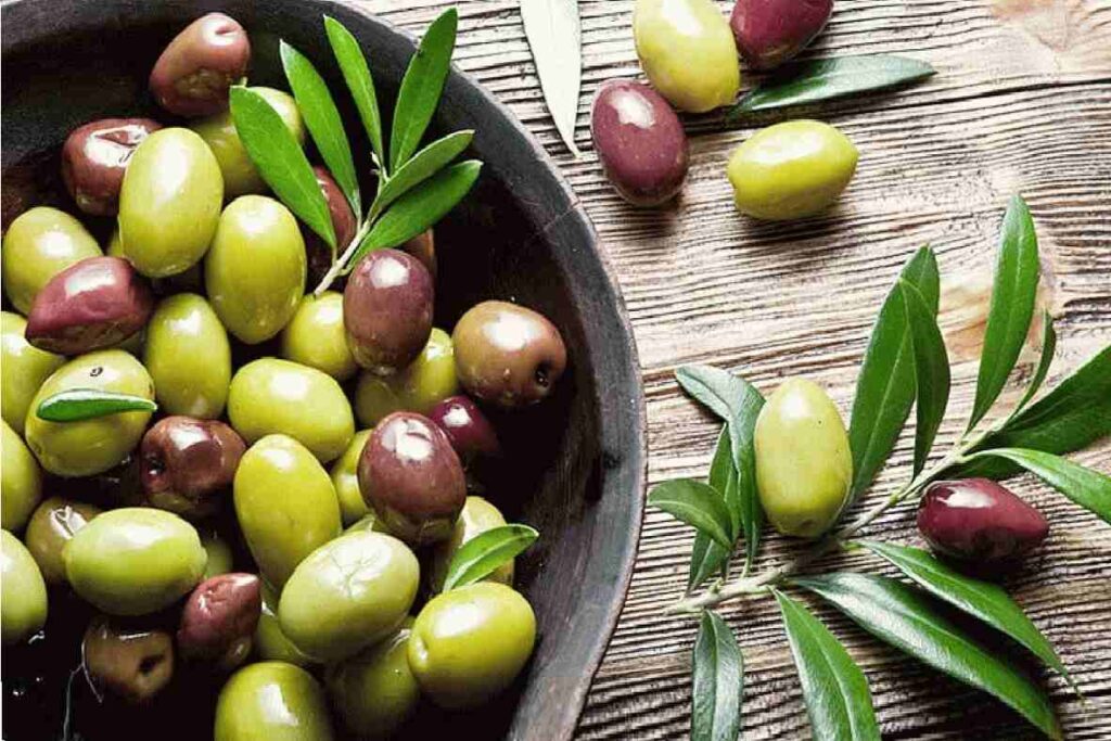 مواد کنسرو زیتون